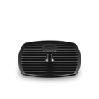Panini Press